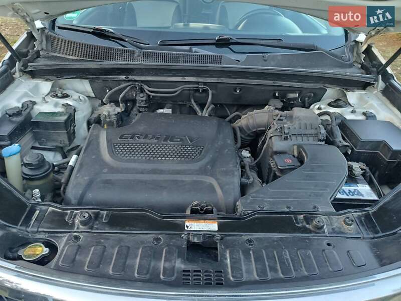 Внедорожник / Кроссовер Kia Sorento 2009 в Ивано-Франковске фото 9 Внедорожник / Кроссовер Kia Sorento 2009 в Ивано-Франковске