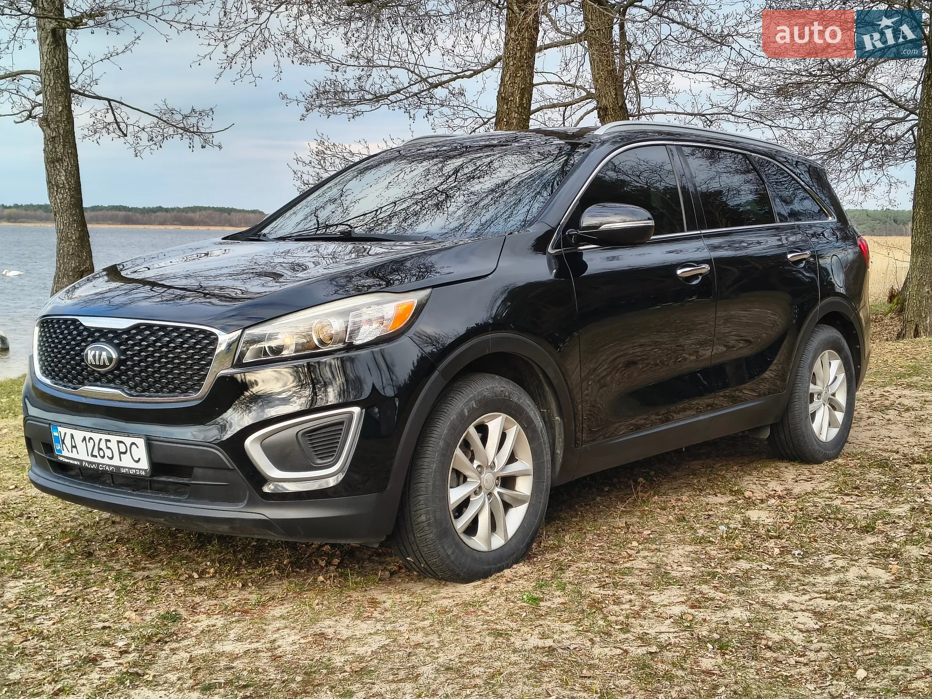 2017 Kia Sorento - мініатюра 10
