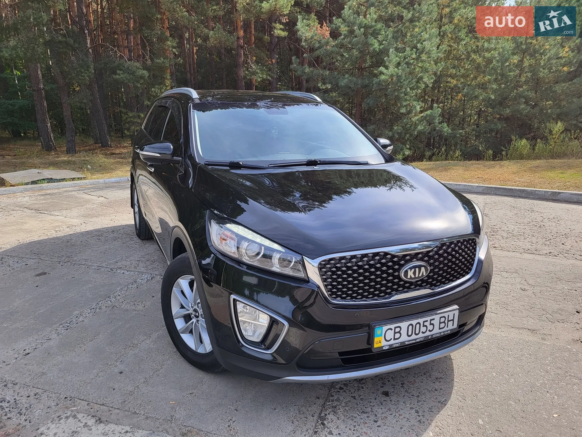 2015 Kia Sorento - мініатюра 11