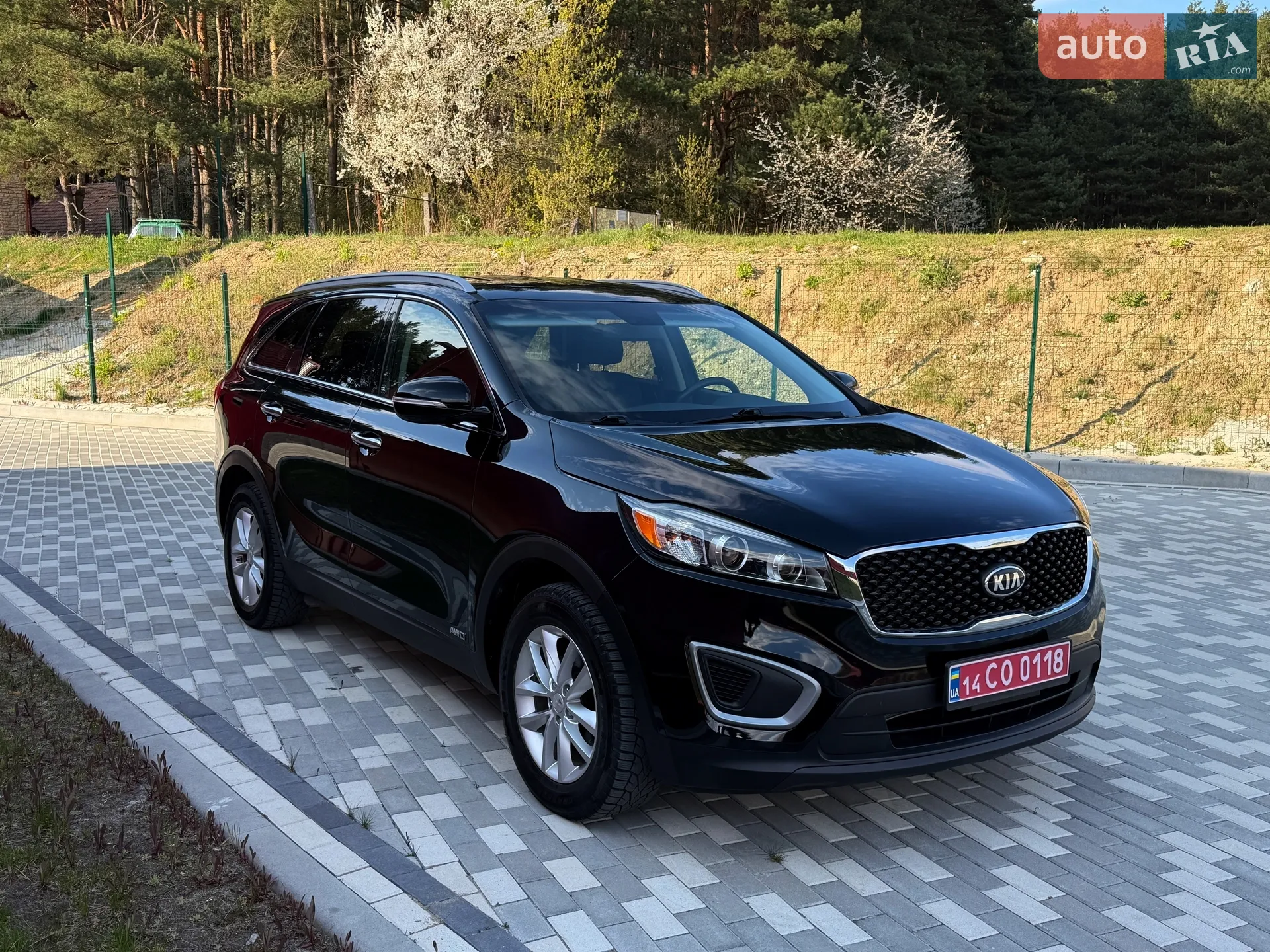 2017 Kia Sorento - мініатюра 5