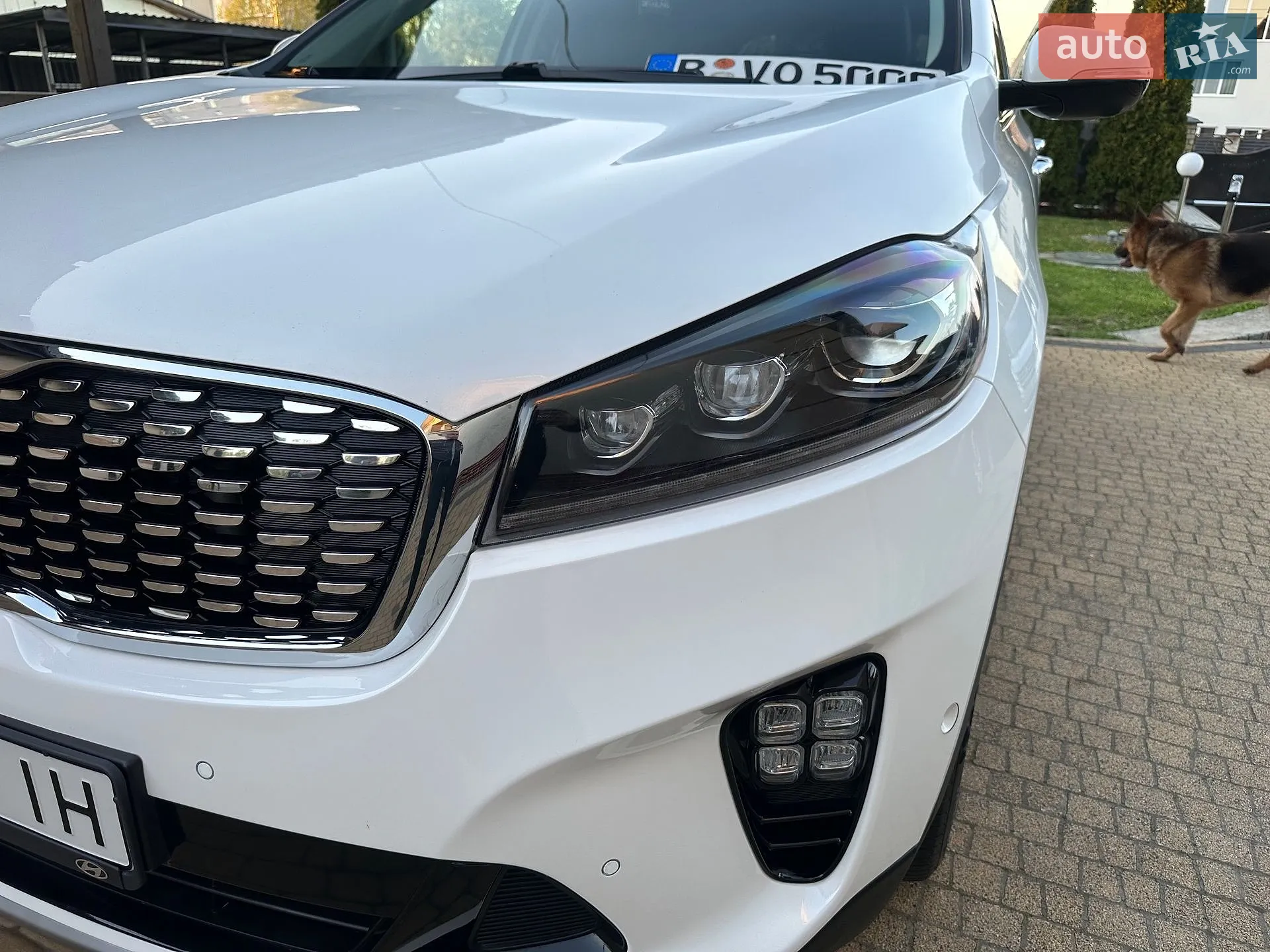 2019 Kia Sorento - мініатюра 51