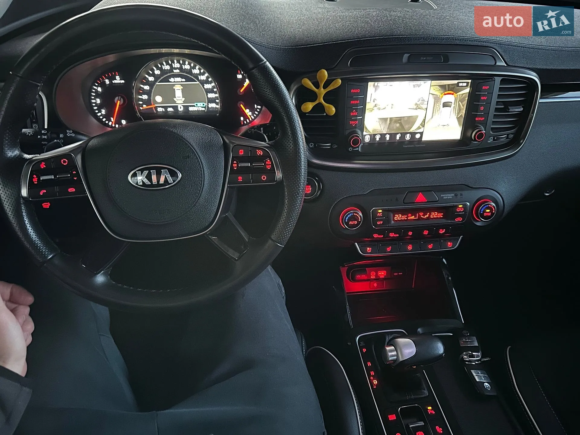 2019 Kia Sorento - мініатюра 227