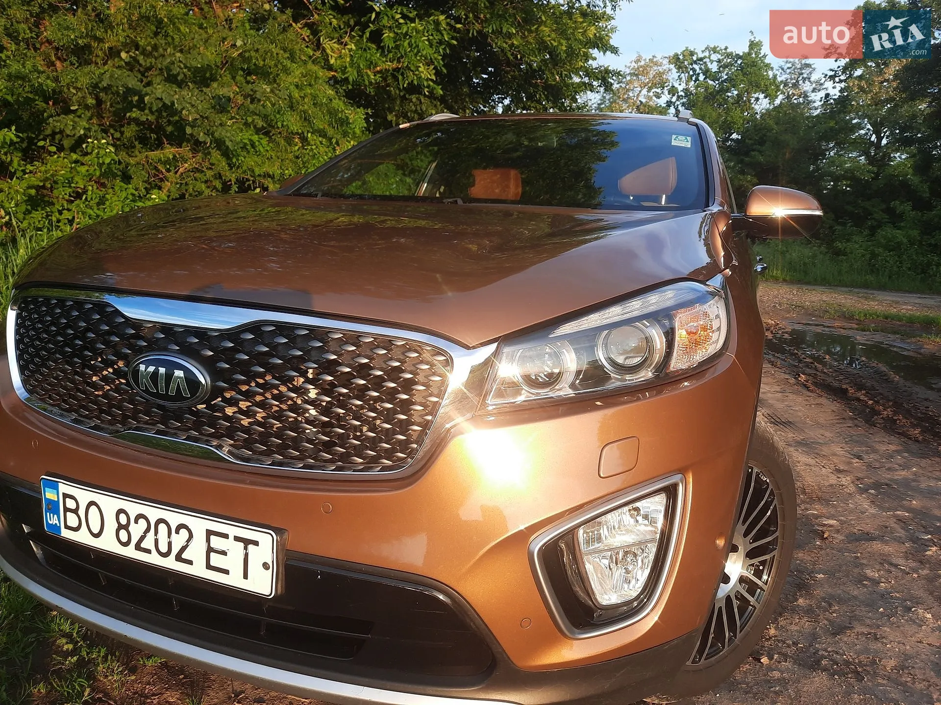 2014 Kia Sorento - мініатюра 18