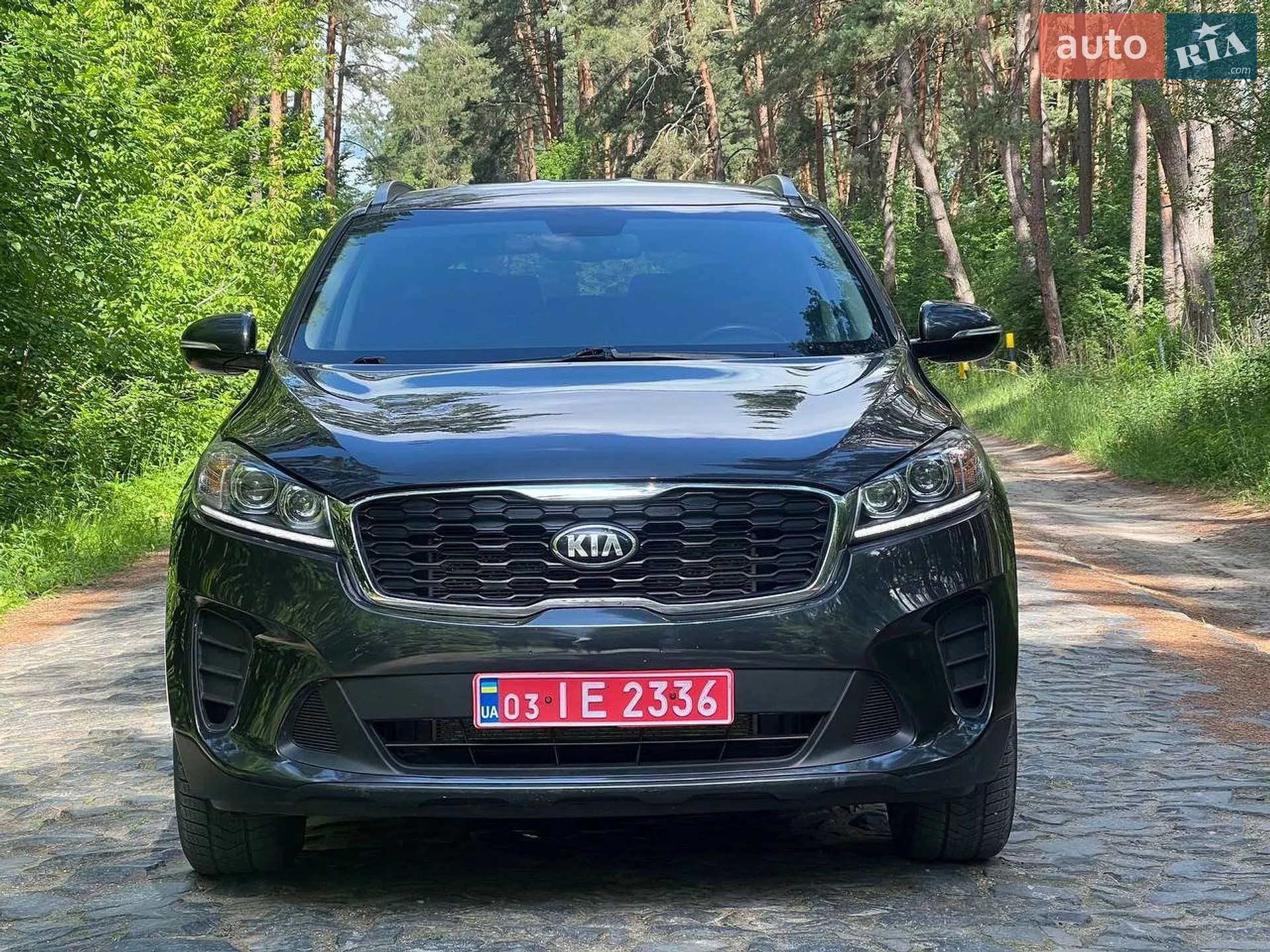 2018 Kia Sorento - мініатюра 11