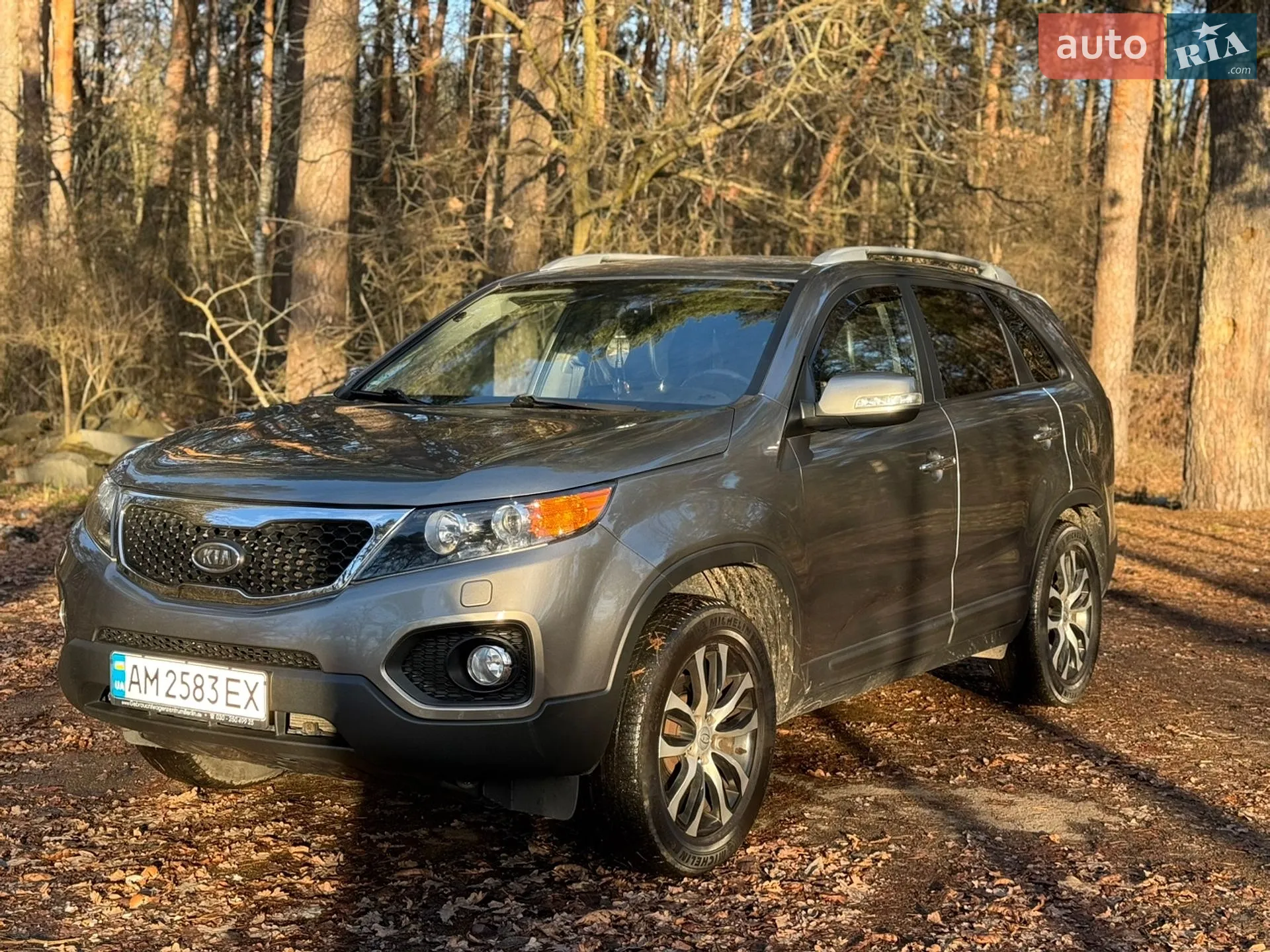 2010 Kia Sorento - мініатюра 11