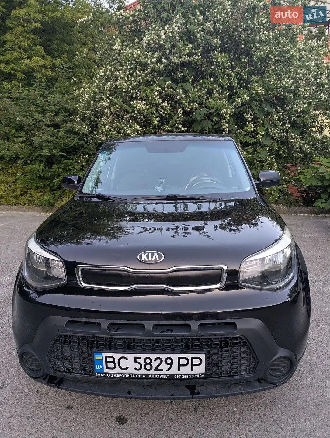 2016 Kia Soul - мініатюра 2