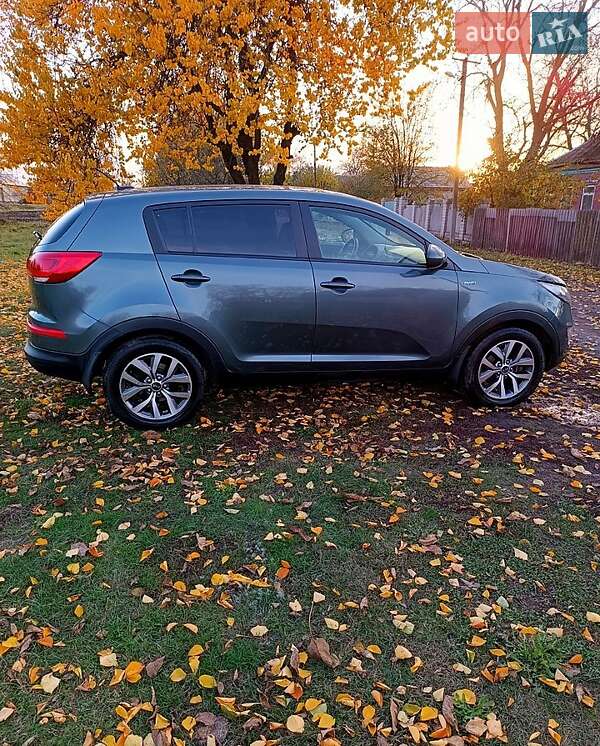 Внедорожник / Кроссовер Kia Sportage 2014 в Краснограде