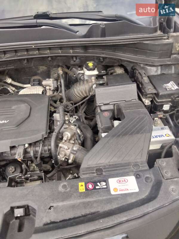 Внедорожник / Кроссовер Kia Sportage 2016 в Виннице