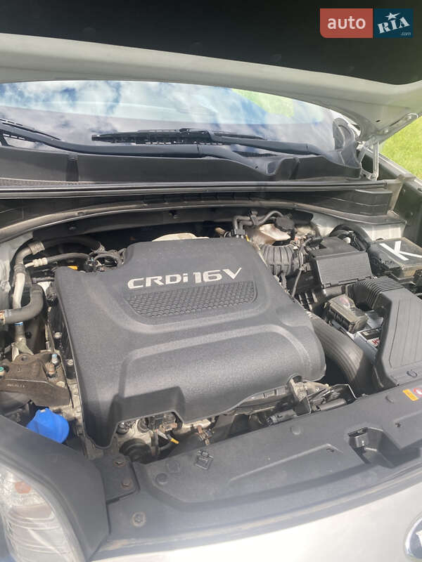 Внедорожник / Кроссовер Kia Sportage 2017 в Киеве