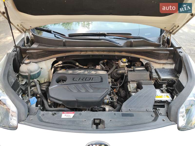 Внедорожник / Кроссовер Kia Sportage 2020 в Киеве