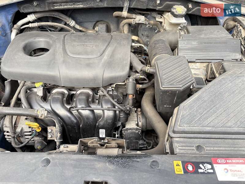 Внедорожник / Кроссовер Kia Sportage 2020 в Днепре