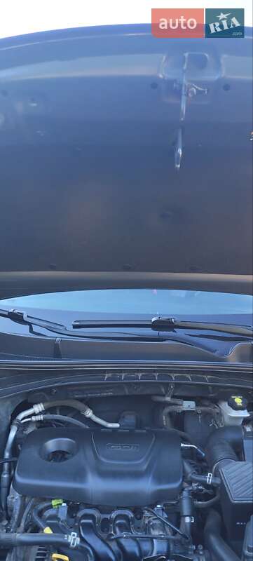 Позашляховик / Кросовер Kia Sportage 2021 в Прилуках фото 6 Позашляховик / Кросовер Kia Sportage 2021 в Прилуках