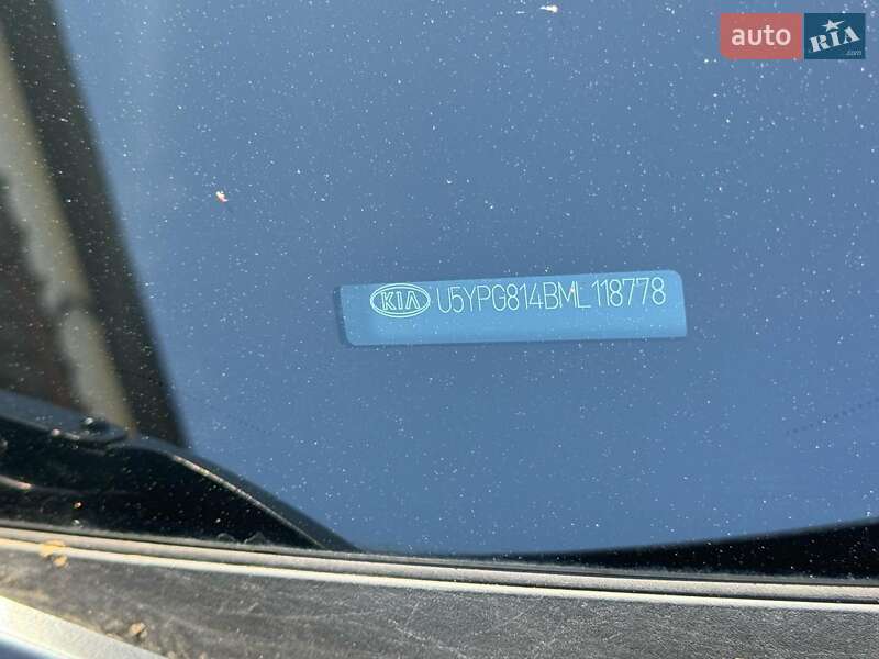 Внедорожник / Кроссовер Kia Sportage 2021 в Ужгороде