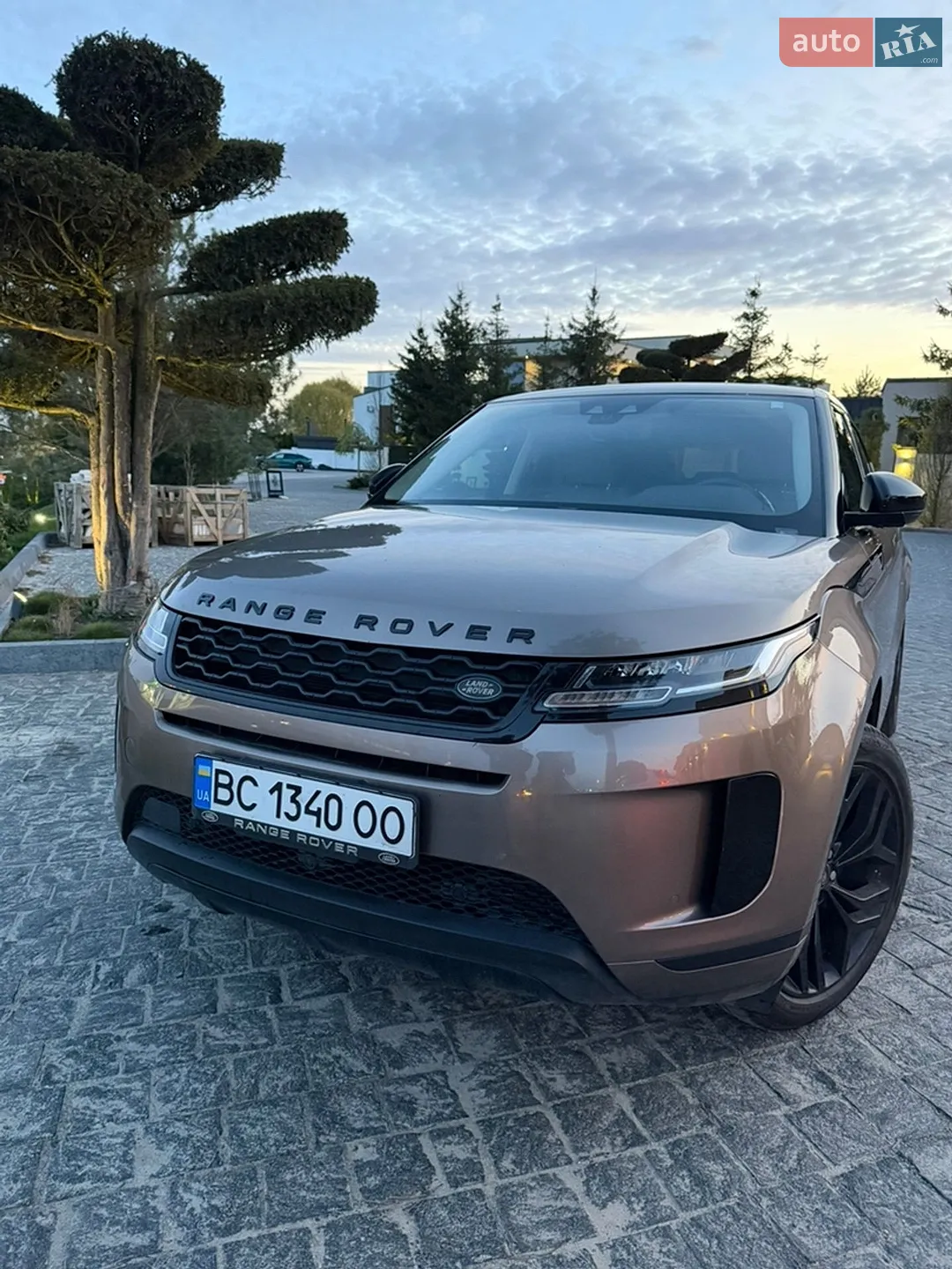 2019 Land Rover Range Rover Evoque - мініатюра 6
