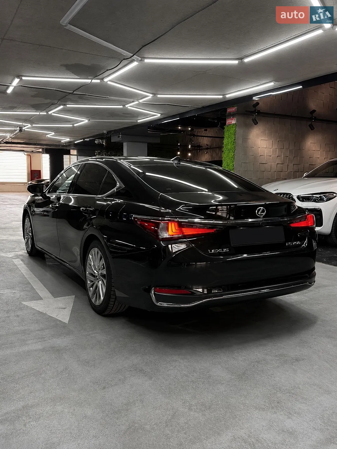 2019 Lexus ES - мініатюра 3