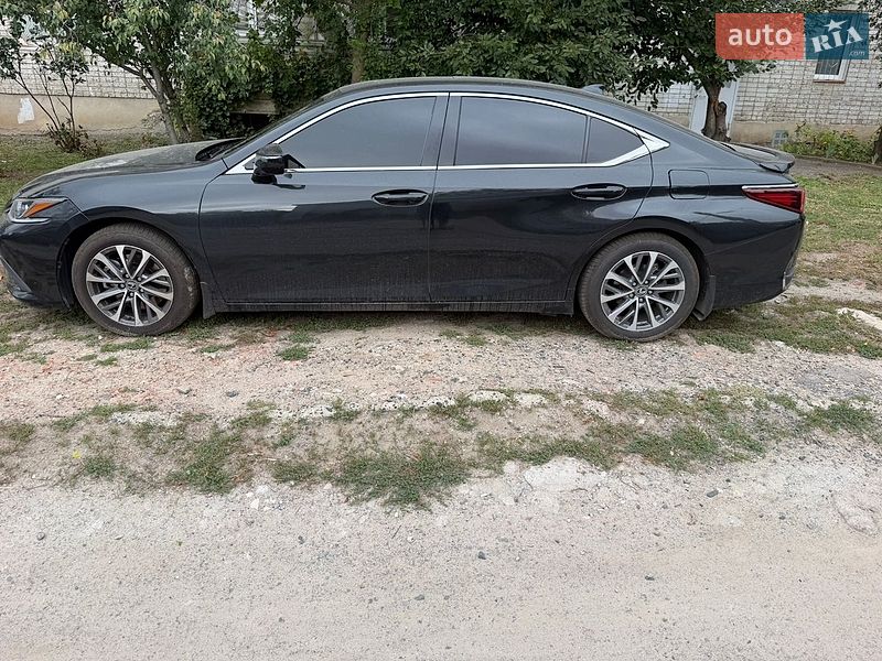 2022 Lexus ES, VIN JTHB21B1702197704:plate — zdjęcie 1 (autoria)