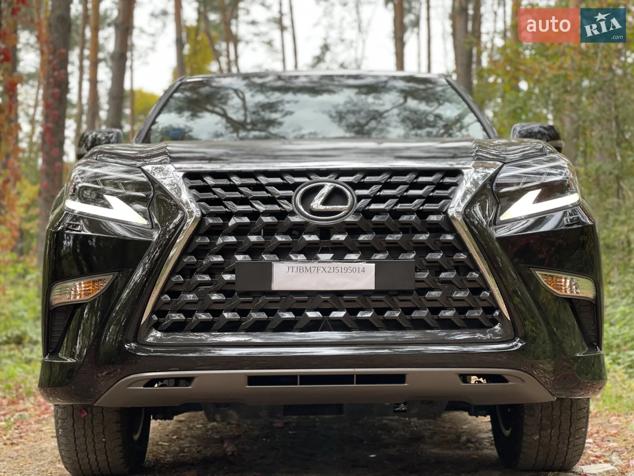 2018 Lexus GX - мініатюра 2