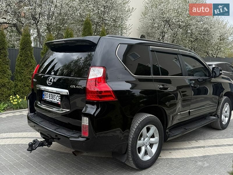 Внедорожник / Кроссовер Lexus GX 2010 в Бережанах