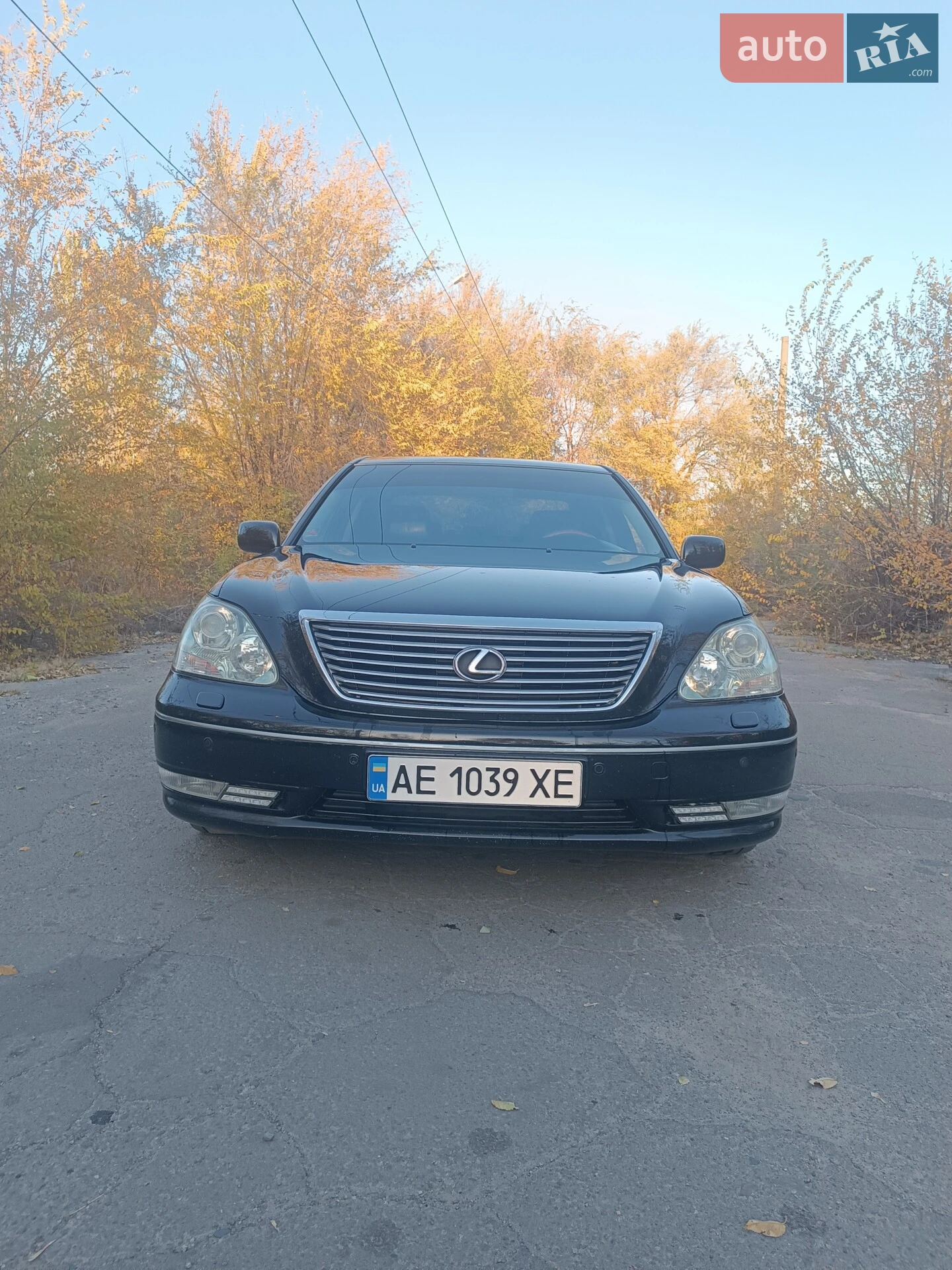 Фото авто 12