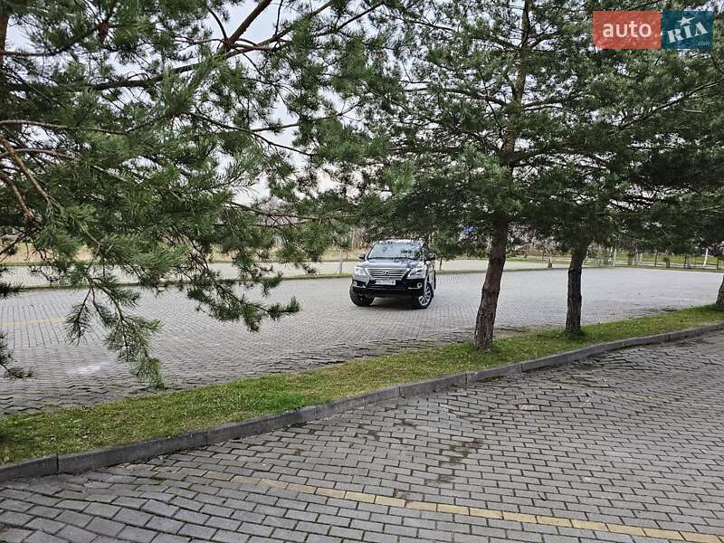 Позашляховик / Кросовер Lexus LX 2010 в Дрогобичі