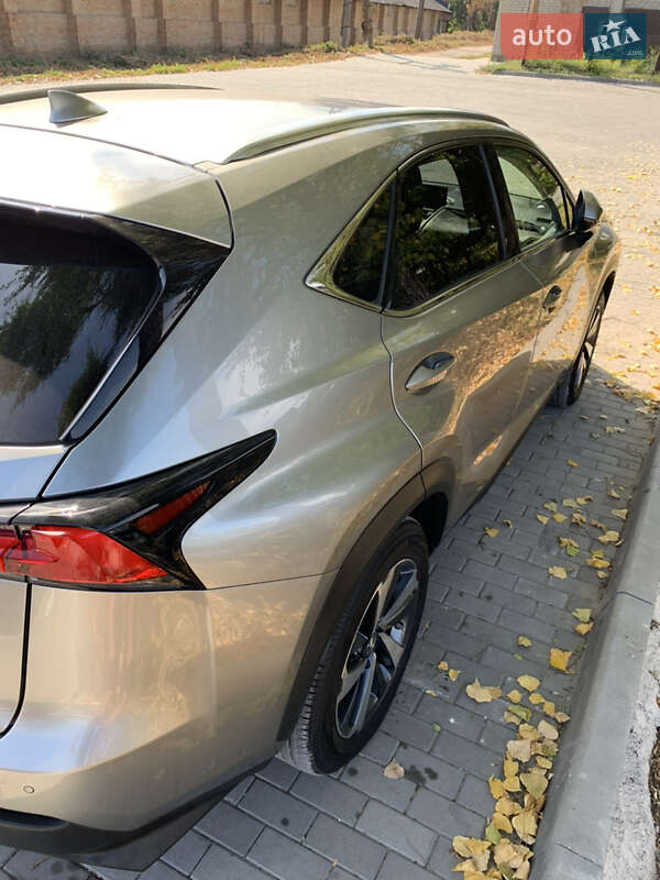 Внедорожник / Кроссовер Lexus NX 2019 в Киеве фото 12 Внедорожник / Кроссовер Lexus NX 2019 в Киеве
