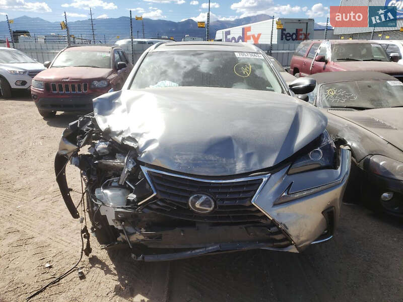 Внедорожник / Кроссовер Lexus NX 2018 в Киеве фото 36 Внедорожник / Кроссовер Lexus NX 2018 в Киеве