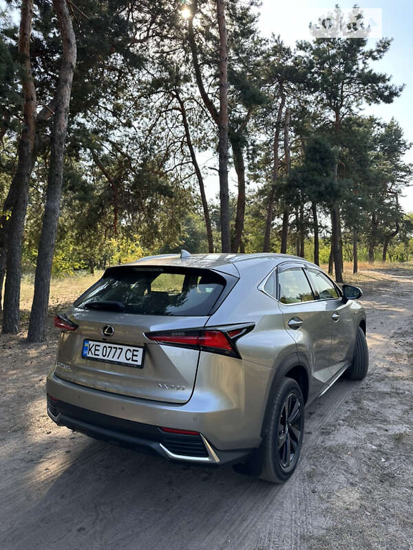 Внедорожник / Кроссовер Lexus NX 2020 в Днепре фото 5 Внедорожник / Кроссовер Lexus NX 2020 в Днепре