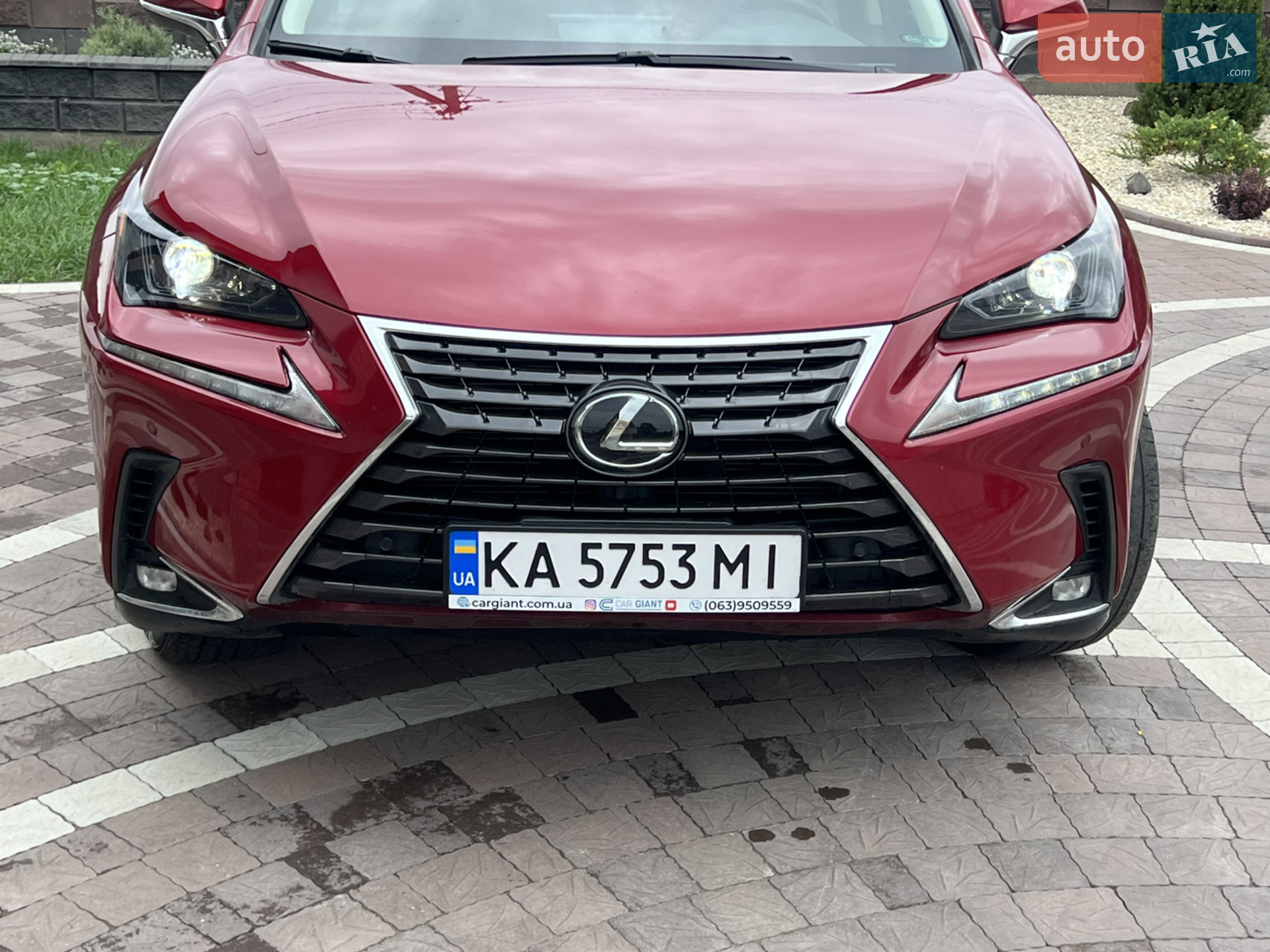 2019 Lexus NX - мініатюра 3