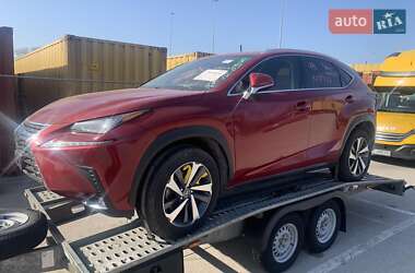 Внедорожник / Кроссовер Lexus NX 2019 в 