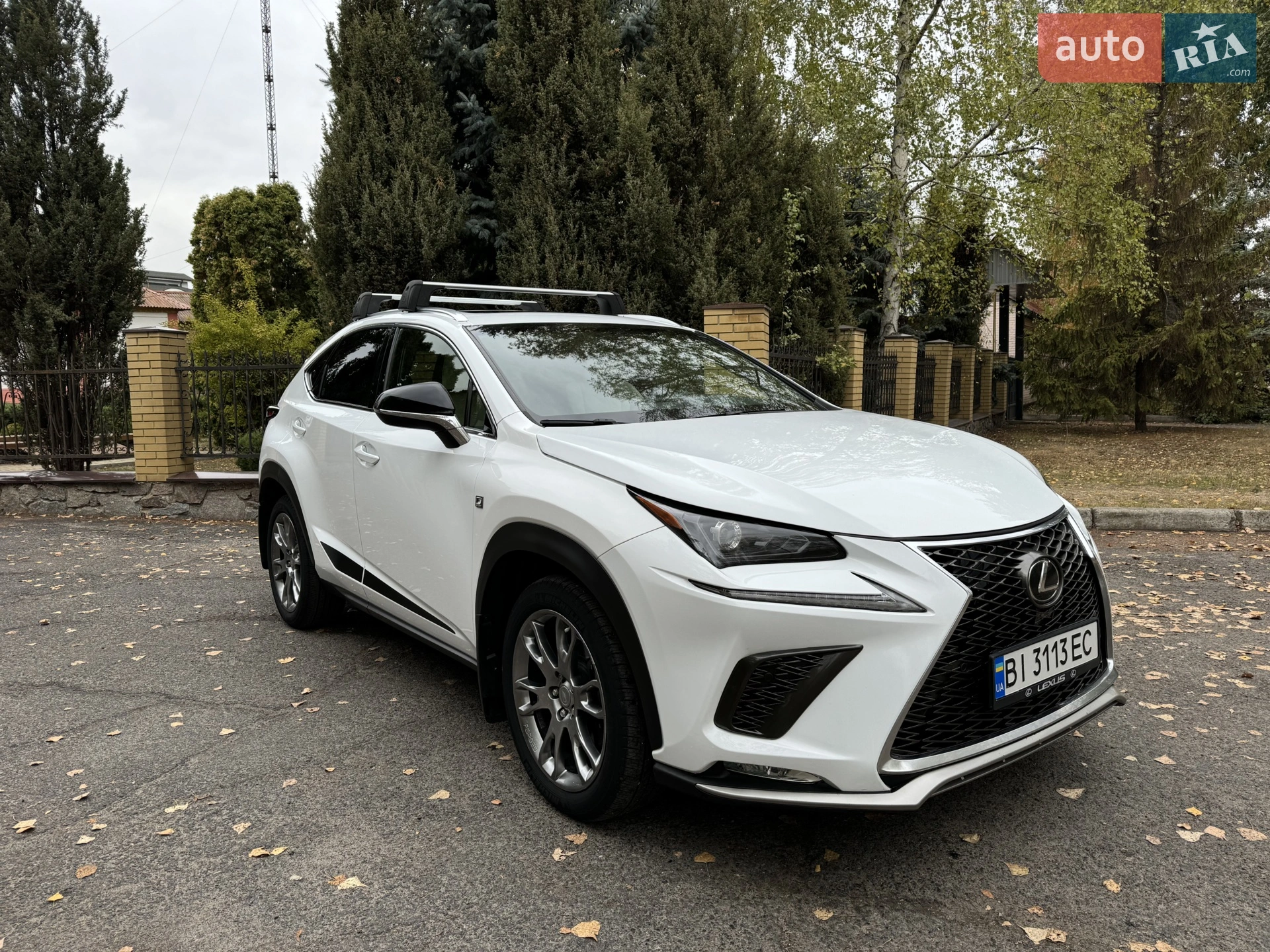 2019 Lexus NX - мініатюра 2
