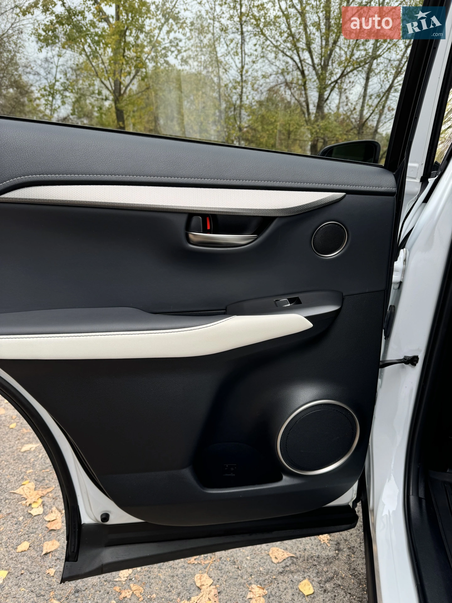 2019 Lexus NX - мініатюра 14