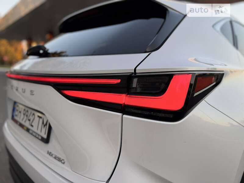 Позашляховик / Кросовер Lexus NX 2022 в Одесі
