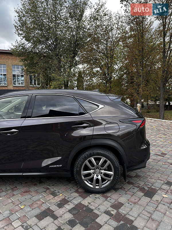 Внедорожник / Кроссовер Lexus NX 2014 в Смеле фото 13 Внедорожник / Кроссовер Lexus NX 2014 в Смеле