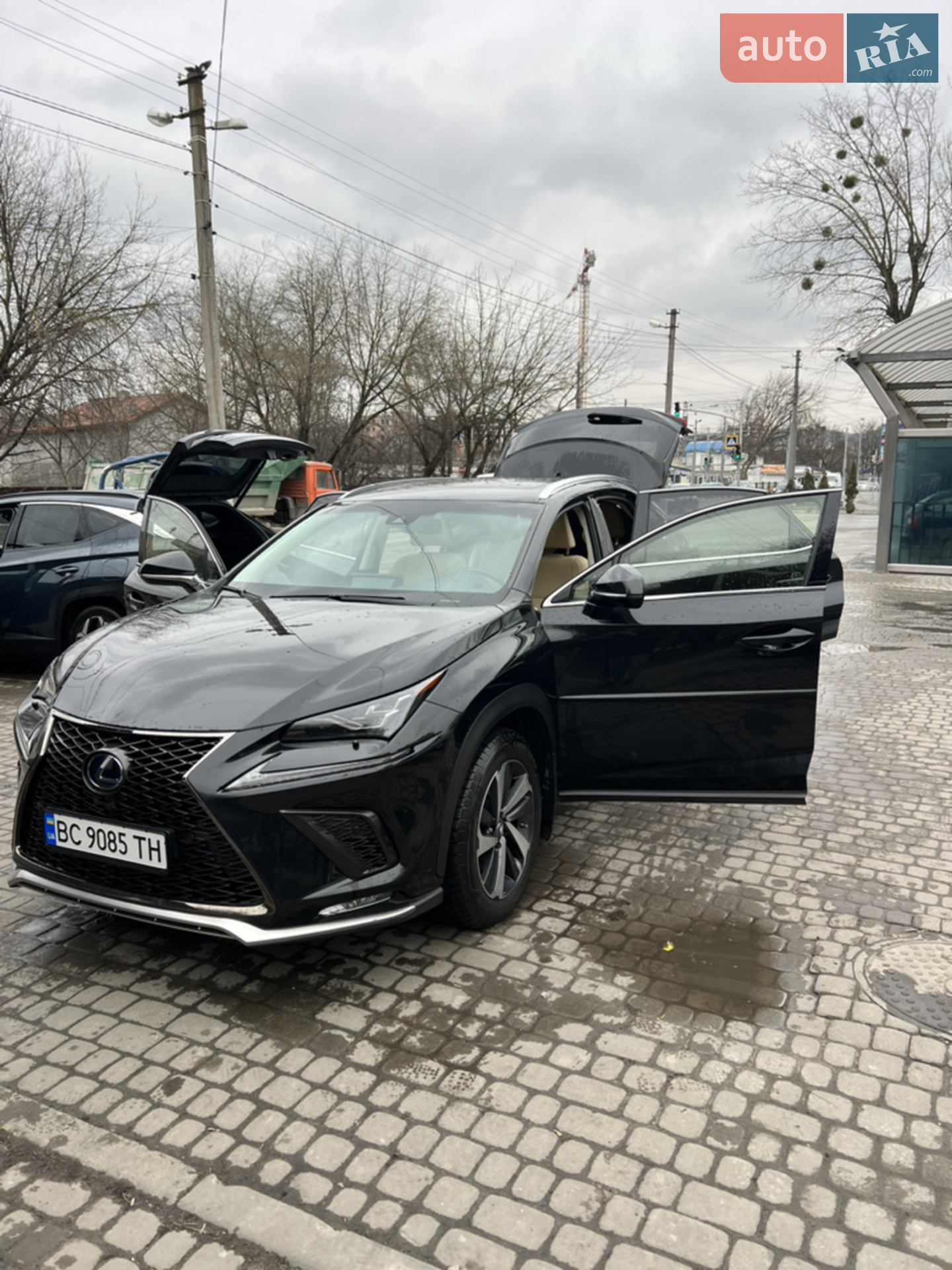 2018 Lexus NX - мініатюра 2