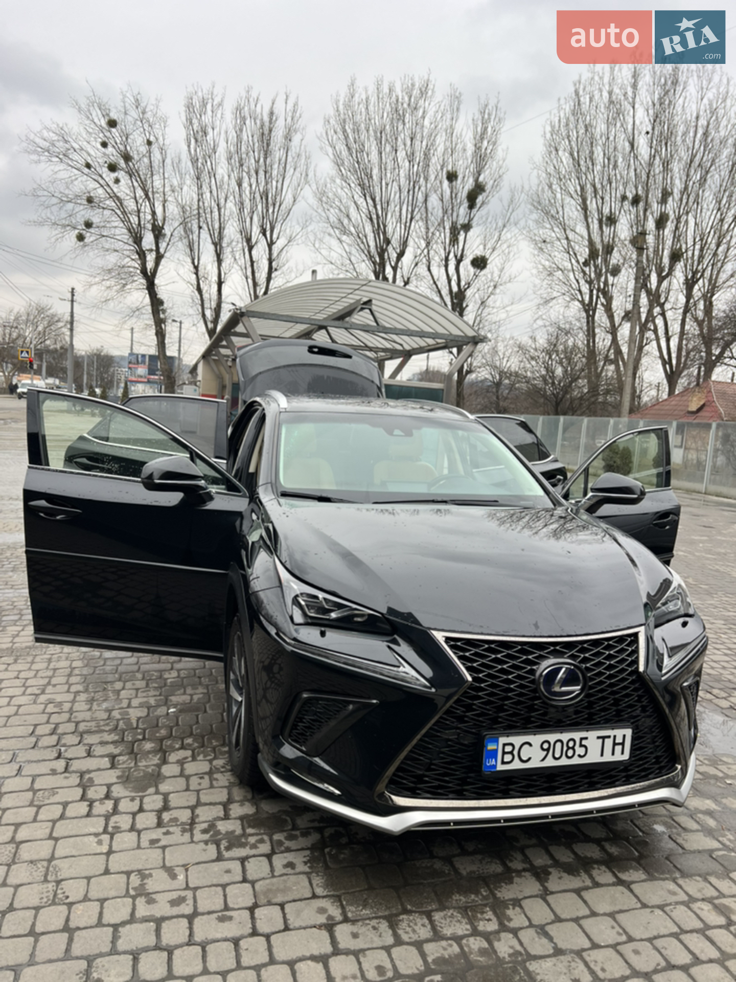 2018 Lexus NX - мініатюра 3