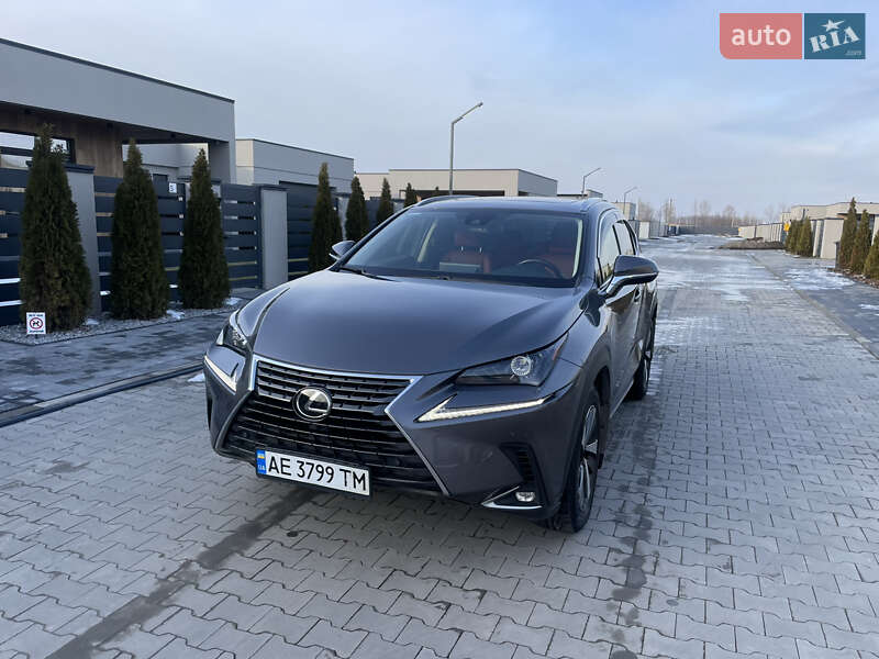 Внедорожник / Кроссовер Lexus NX 2020 в Днепре фото 4 Внедорожник / Кроссовер Lexus NX 2020 в Днепре