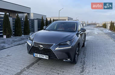 Позашляховик / Кросовер Lexus NX 2020 в 
