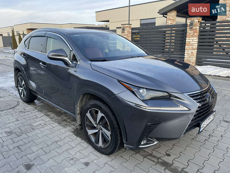 Внедорожник / Кроссовер Lexus NX 2020 в Днепре фото 6 Внедорожник / Кроссовер Lexus NX 2020 в Днепре