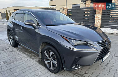 Позашляховик / Кросовер Lexus NX 2020 в 