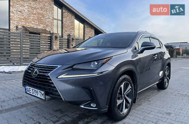Позашляховик / Кросовер Lexus NX 2020 в 