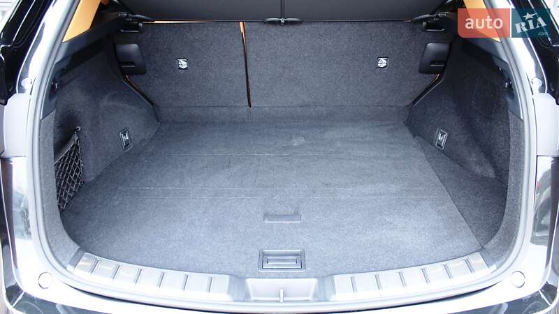 Внедорожник / Кроссовер Lexus NX 2023 в Киеве фото 10 Внедорожник / Кроссовер Lexus NX 2023 в Киеве