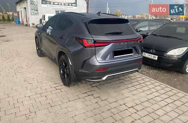 Внедорожник / Кроссовер Lexus NX 2023 в 