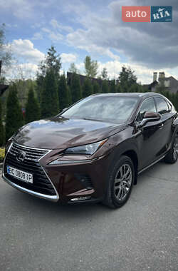 Внедорожник / Кроссовер Lexus NX 2019 в 
