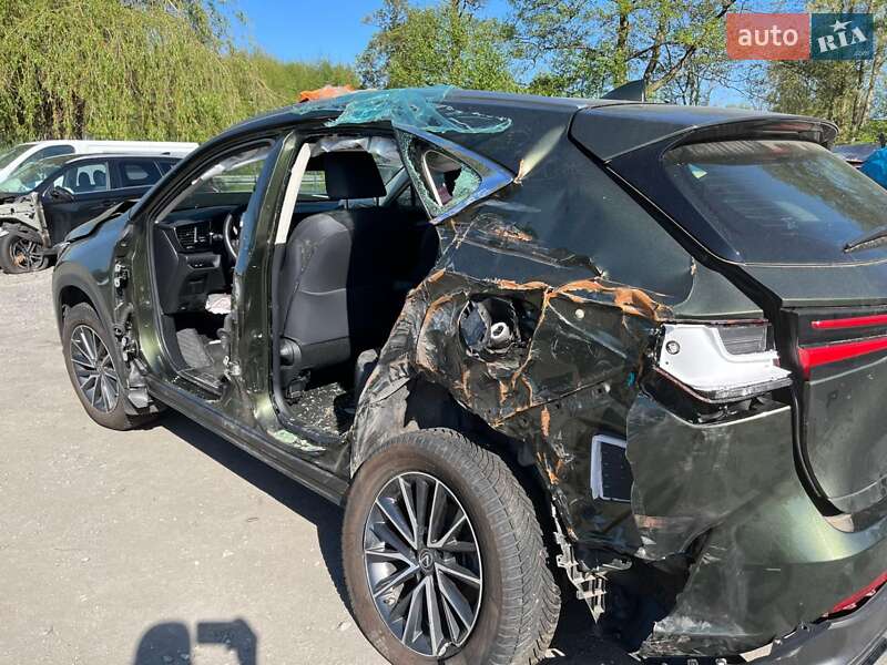 Внедорожник / Кроссовер Lexus NX 2022 в Збараже