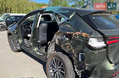 Внедорожник / Кроссовер Lexus NX 2022 в 