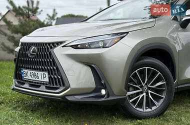 Позашляховик / Кросовер Lexus NX 2023 в 
