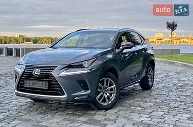 Внедорожник / Кроссовер Lexus NX 2019 в 