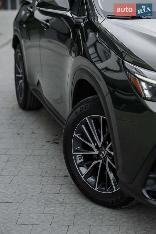 Внедорожник / Кроссовер Lexus NX 2022 в Новояворовске