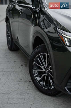 Внедорожник / Кроссовер Lexus NX 2022 в 