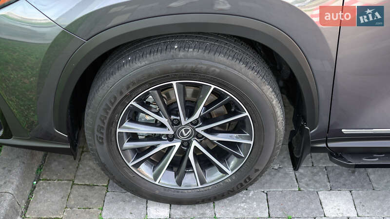Внедорожник / Кроссовер Lexus NX 2023 в Львове